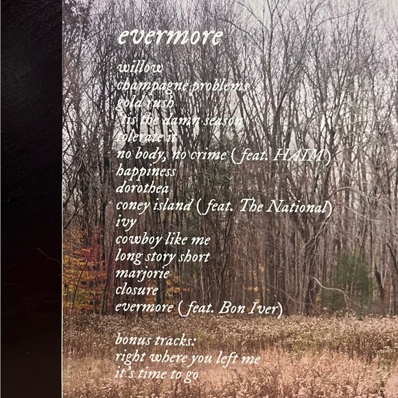 SEALED Taylor Swift | Evermore Target Limited Edition Vinyl - Picture 3 of 8